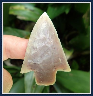 ~ Killer G-9.5 ~ Purple & Cream Coral Newnan ~