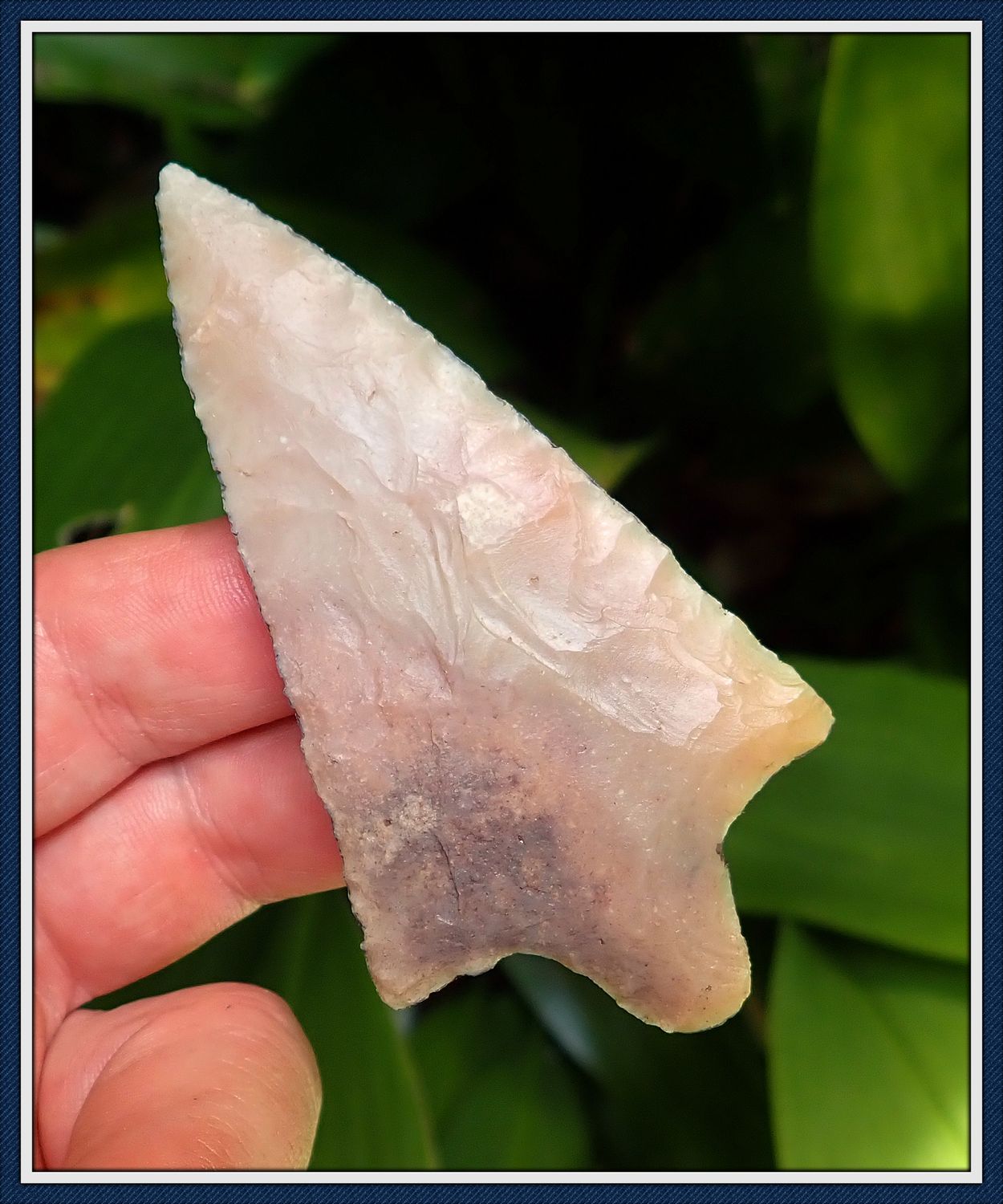 ~ Large G-10 Translucent ~ Marion Spear Point ~