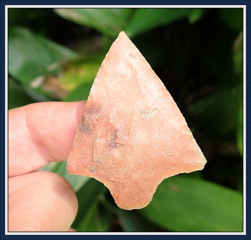 ~ Translucent Pink Coral ~ Hardee Point ~