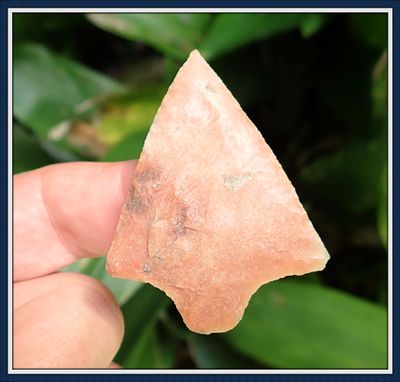 ~ Translucent Pink Coral ~ Hardee Point ~