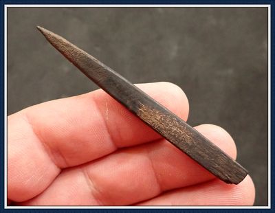 ~ 3" Long Bone Harpoon Tip ~ Taylor Co. Florida ~ 6