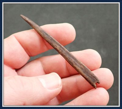 ~ 3 1/4" Long Bone Needle Tip ~ Taylor Co. Florida ~ 11