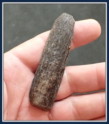 ~ 3" Long Bone Tool ~ Taylor Co. Florida ~ 16