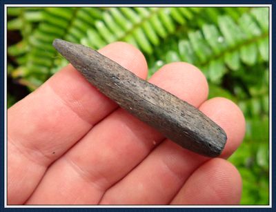 ~ 2 1/8" Long Bone Antler Punch ~ Taylor Co. Florida ~ 14