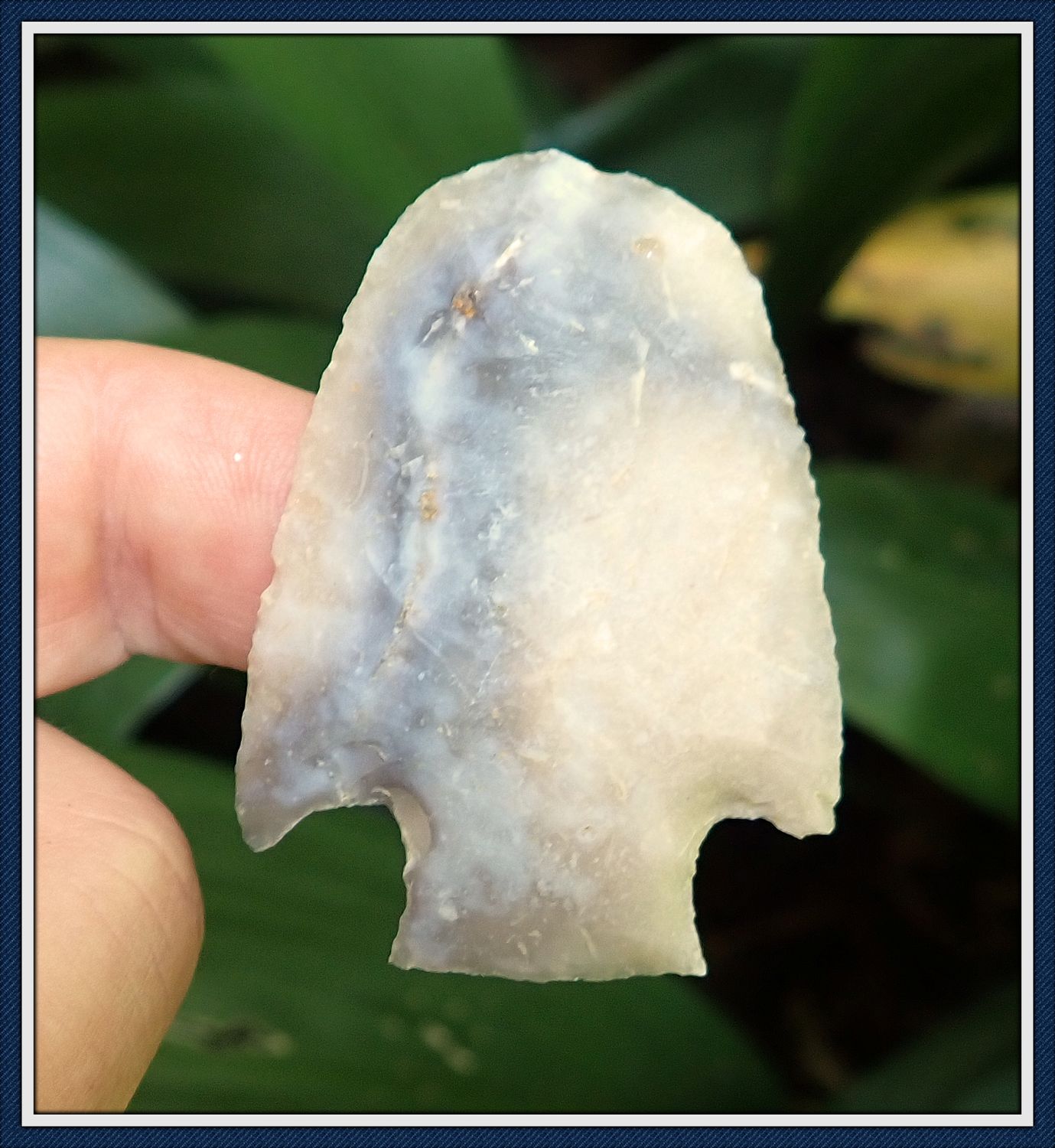 ~ Sweet Translucent ~ Culbreath Peg Scraper Point ~