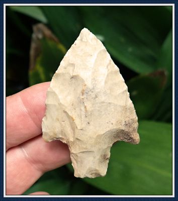 ~ Alachua Co. Fl. ~ Cypress Creek Point ~