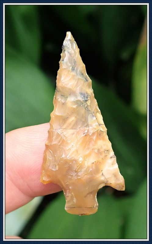 ~ Steinhatchee ~ Hernando Sub-type Point ~ Dale Co. Alabama ~