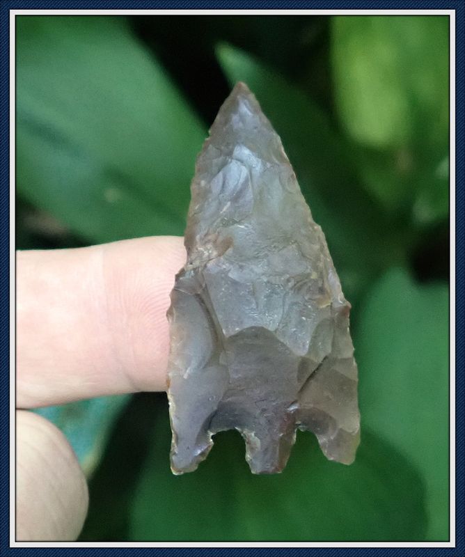 ~ 2&quot; ~ Alachua Co. Florida ~ Hernando Point ~