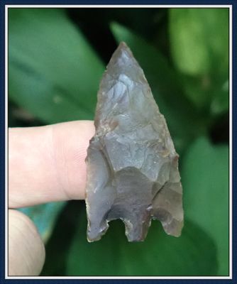 ~ 2" ~ Alachua Co. Florida ~ Hernando Point ~