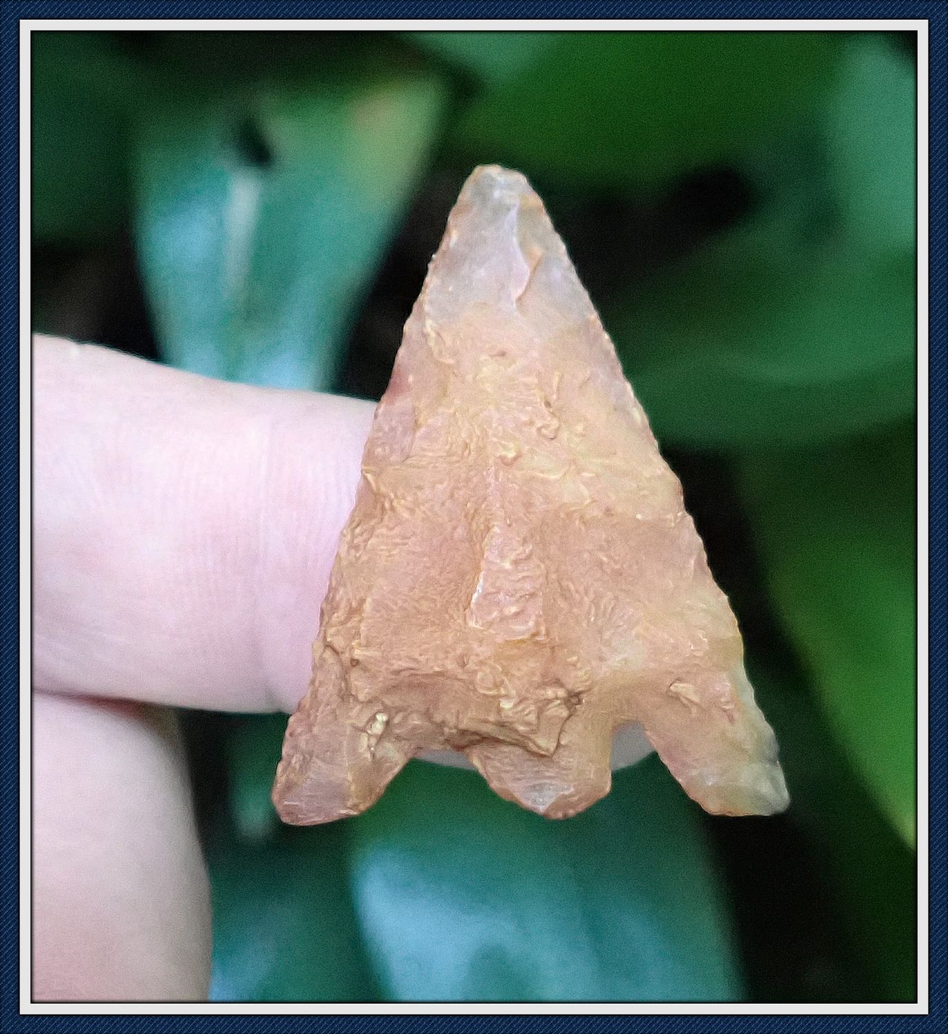 ~ Orange Coral~ Alachua Co. Florida ~ Hernando Point ~