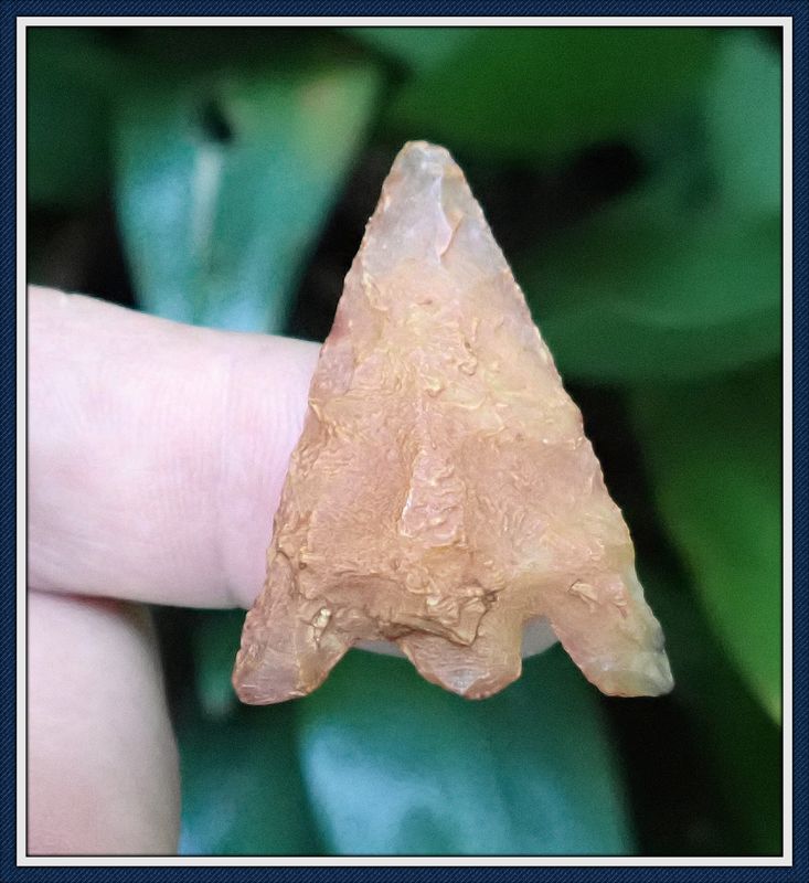 ~ Orange Coral~ Alachua Co. Florida ~ Hernando Point ~