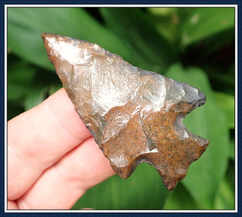 ~ Dale Co. Alabama ~ Levy Point ~