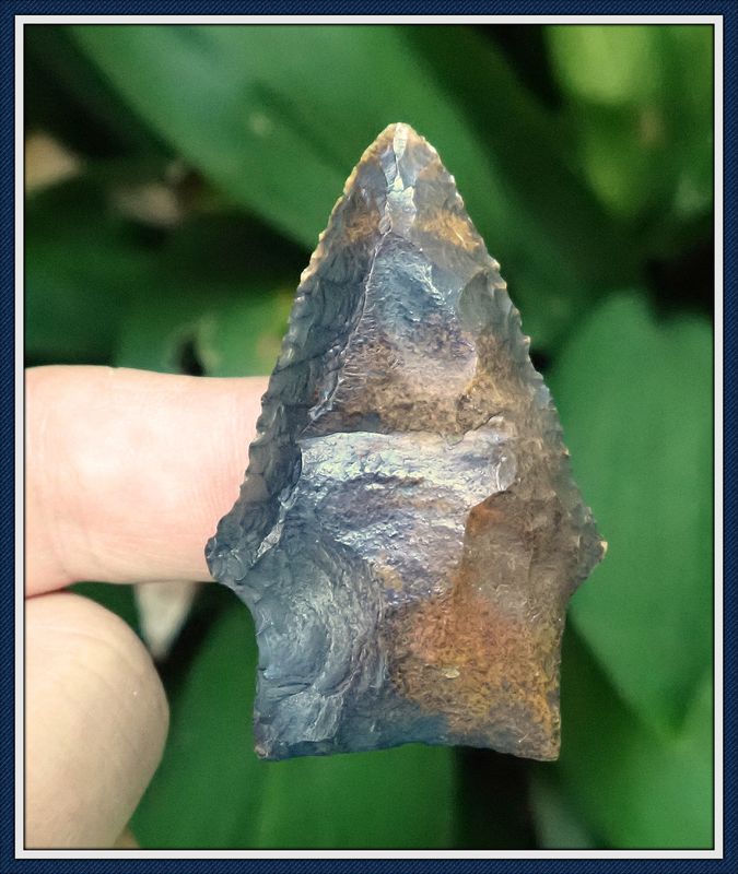 ~ Dale Co. Alabama ~ Serrated ~ Wacissa Point ~