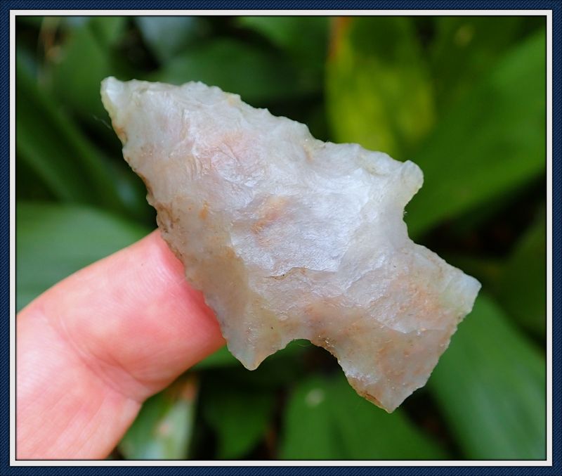 ~ Translucent Coral ~ Kirk Point ~ Bailey Hill ~