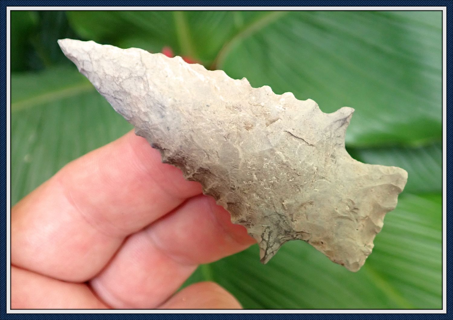 Restored Kirk Serrated Point ~ Putnam Co. Florida