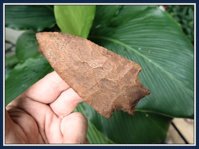 ~ Spectacular ~ G-10 ~ Savannah River ~