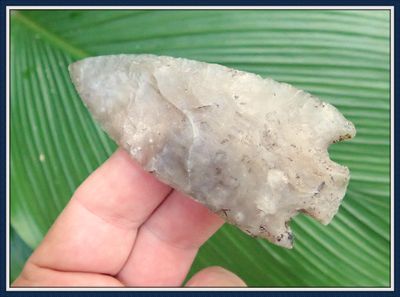 ~ Amazing Translucent Smoky Gray ~ Coral Culbreath ~