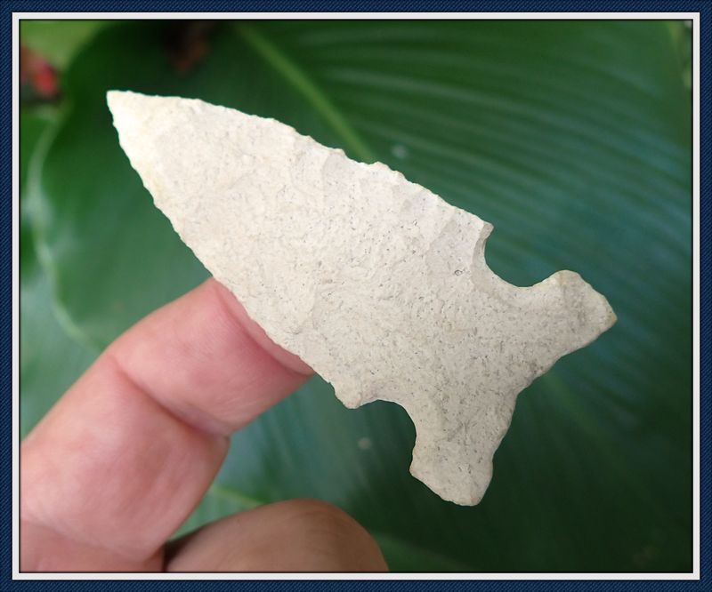 ~ Immaculate Pure White Chert ~ Big Sandy Point ~