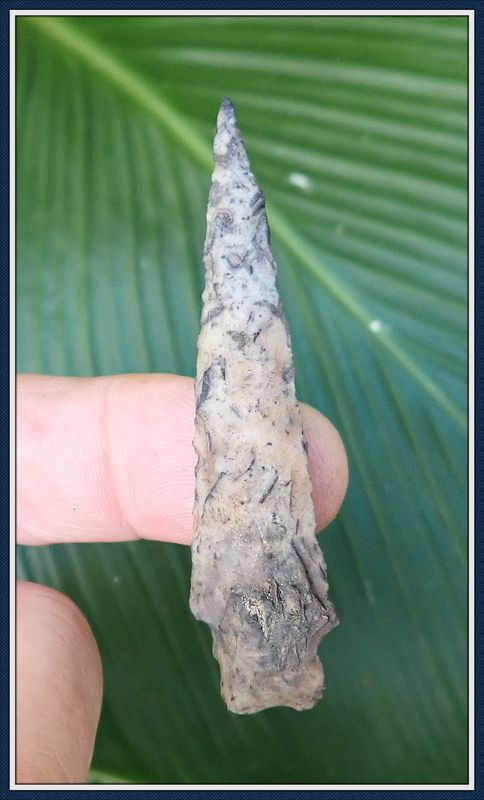 ~  Wicked  Woodland ~ Duval Point ~