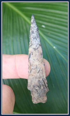 ~  Wicked  Woodland ~ Duval Point ~