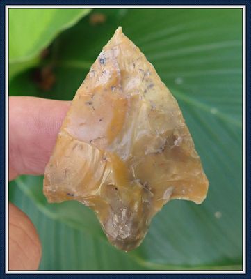 ~  Dental Pick ~ Cypress Creek Point ~