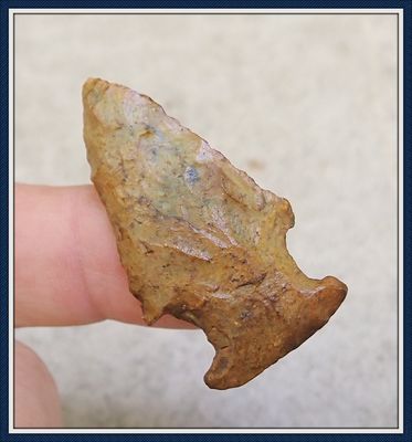 ~ Golden Expanded Notch ~ Bolen Bevel ~