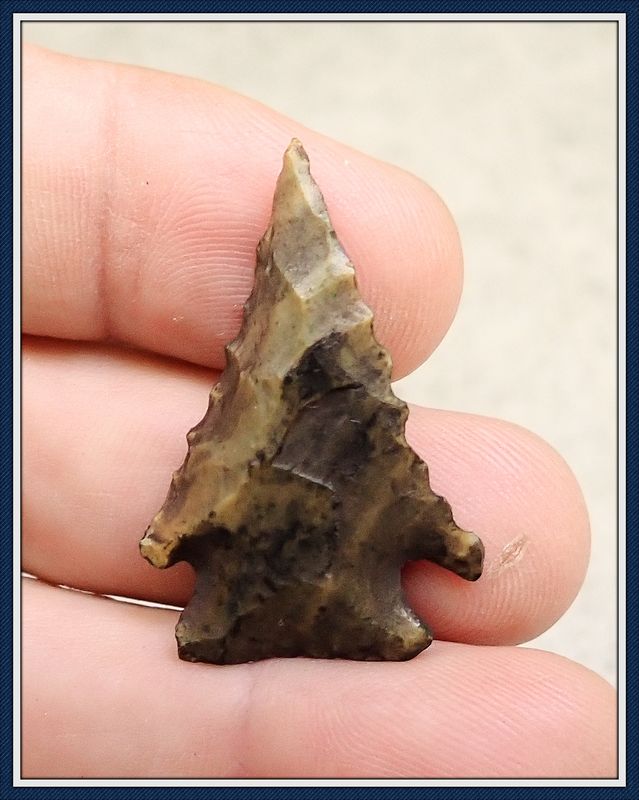 ~ 1 1/2" ~ Bolen Bevel ~