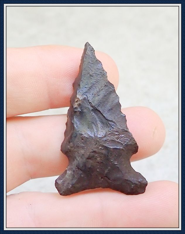 ~ 1 7/8" ~ Bolen Bevel Auriculate ~