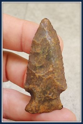 ~ Jade Green & Gold ~ Translucent Coral ~ Pinetree Point ~