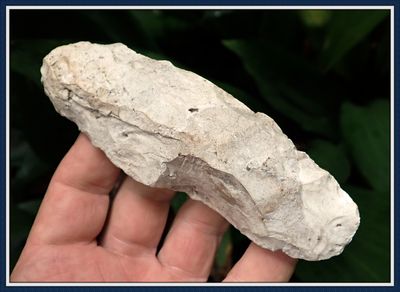~ 5" Flaked Adze ~ Chassahowitzka River Basin Florida ~