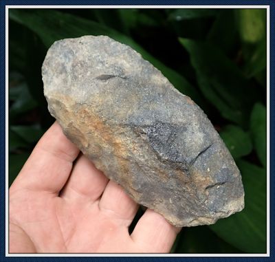 ~ 5" Flaked Adze ~ Santa Fe Basin Florida ~