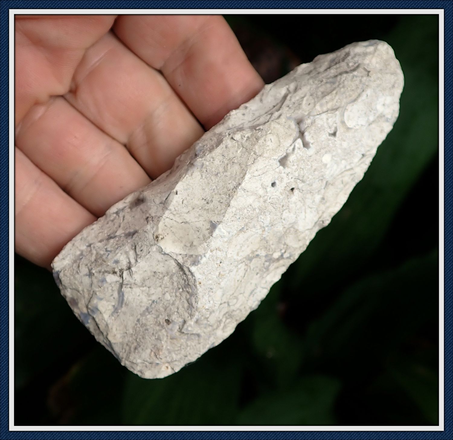 ~ 4 1/8&quot; Flaked Adze ~ Chassahowitzka River Basin Florida ~