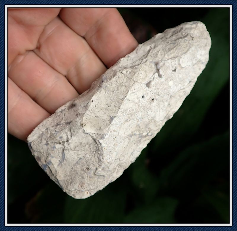 ~ 4 1/8&quot; Flaked Adze ~ Chassahowitzka River Basin Florida ~