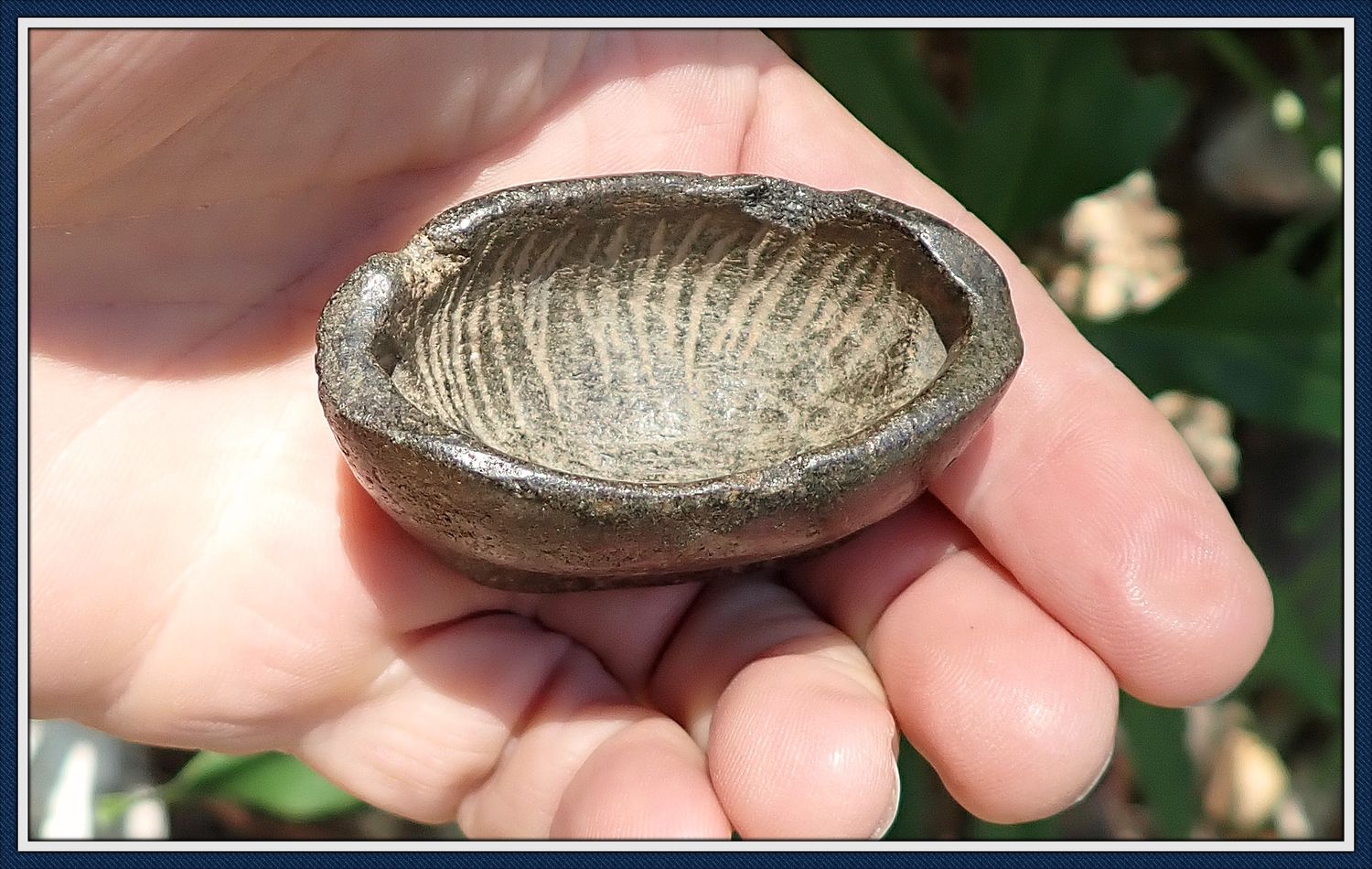 ~ Incredible Rare &amp; Beautiful ~ Boatstone Gorget ~