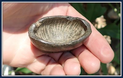 ~ Incredible Rare & Beautiful ~ Boatstone Gorget ~