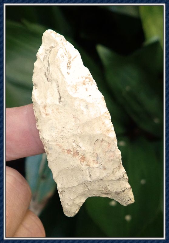 ~ Henry County Alabama ~ Clovis ~ Paleo Spear ~