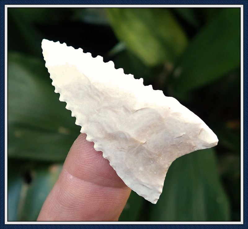 ~ G-10 Dale County Alabama ~ RARE ~ Escambia Dalton ~ RARE