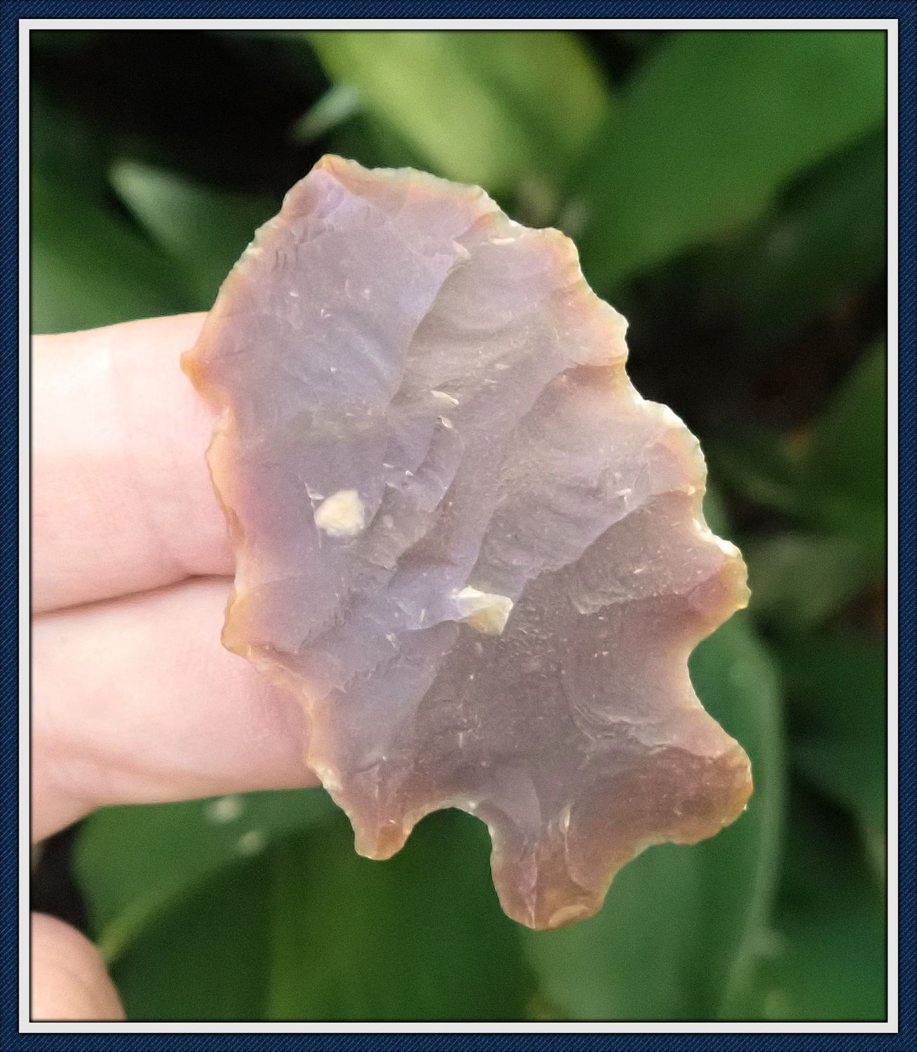 ~ Purple ~ Dale County Alabama ~ LeCroy ~