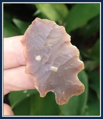 ~ Purple ~ Dale County Alabama ~ LeCroy ~