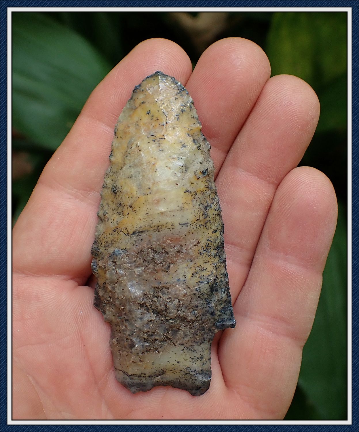 ~ Translucent Golden Coral ~ Hamlton ~