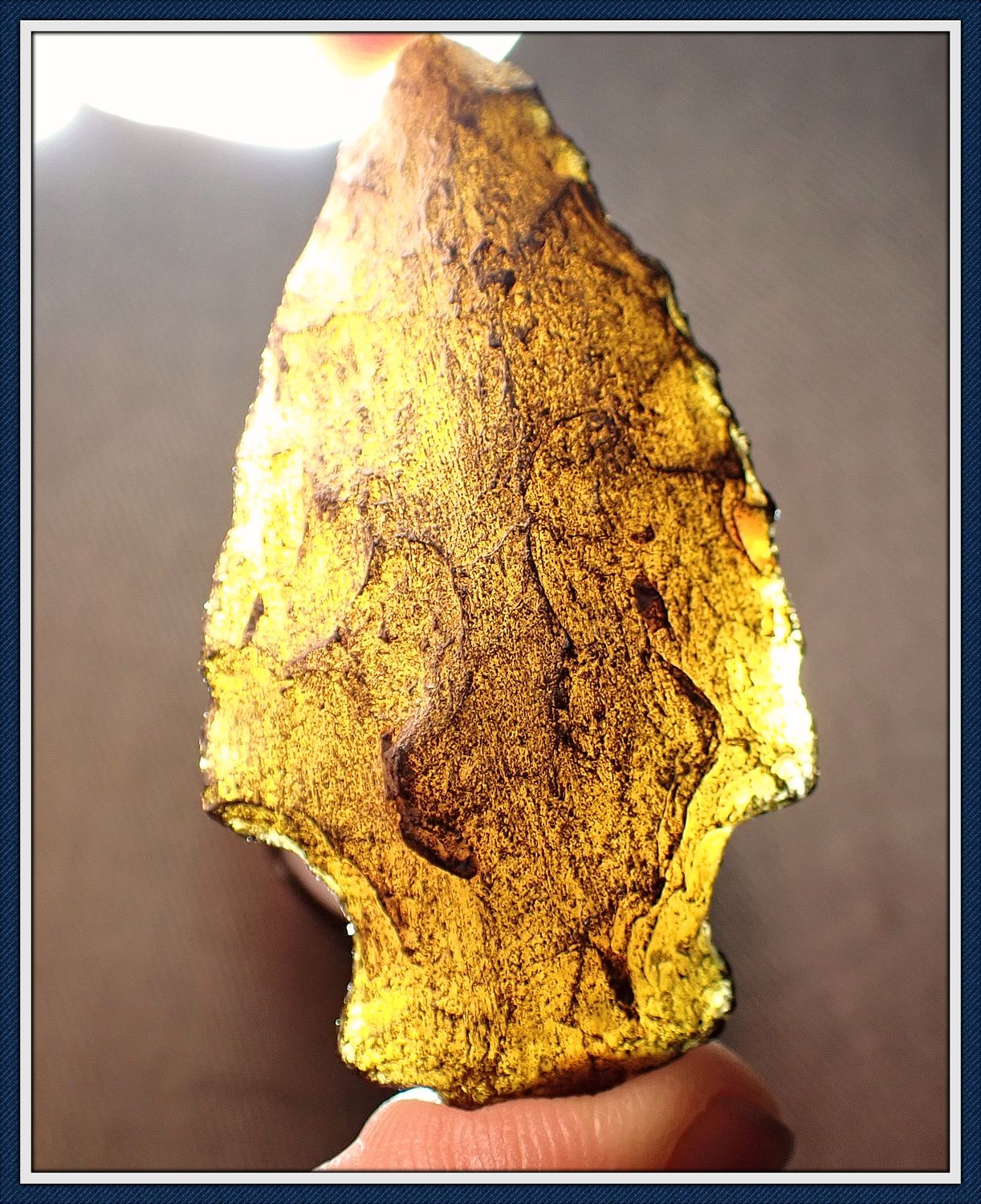 ~ G-9 Translucent Coral ~ Woodland Broward Point ~