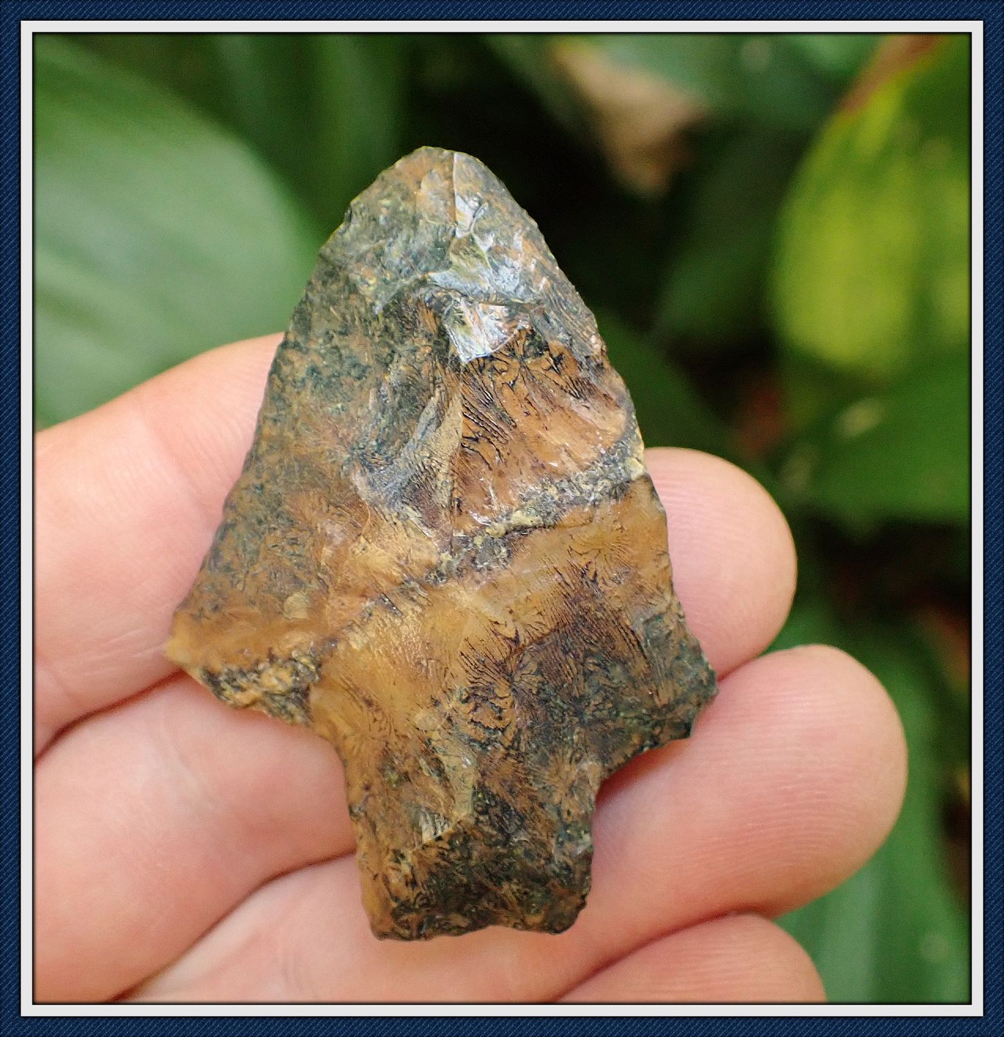 ~ Translucent Coral ~ Notchaway Point ~