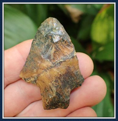 ~ Translucent Coral ~ Notchaway Point ~