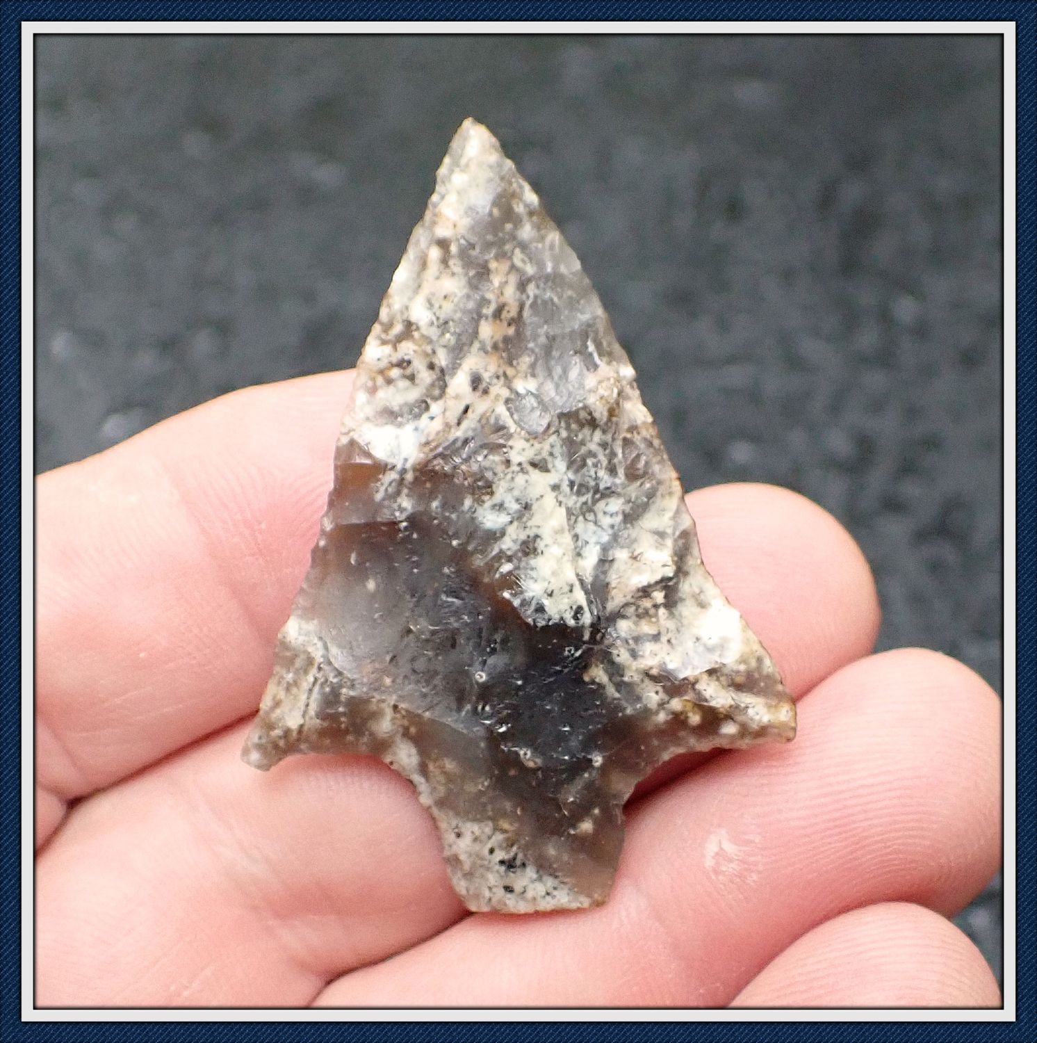 ~ Translucent Baybottom Chert ~ Newnan Dart ~