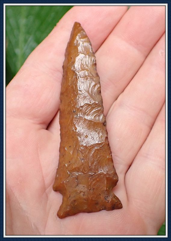 ~  Stellar Collectors Grade ~ Pinetree Point ~