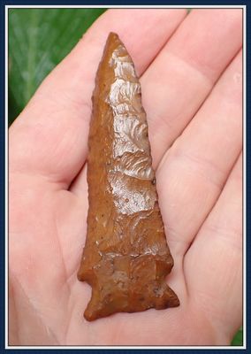 ~  Stellar Collectors Grade ~ Pinetree Point ~ ON HOLD