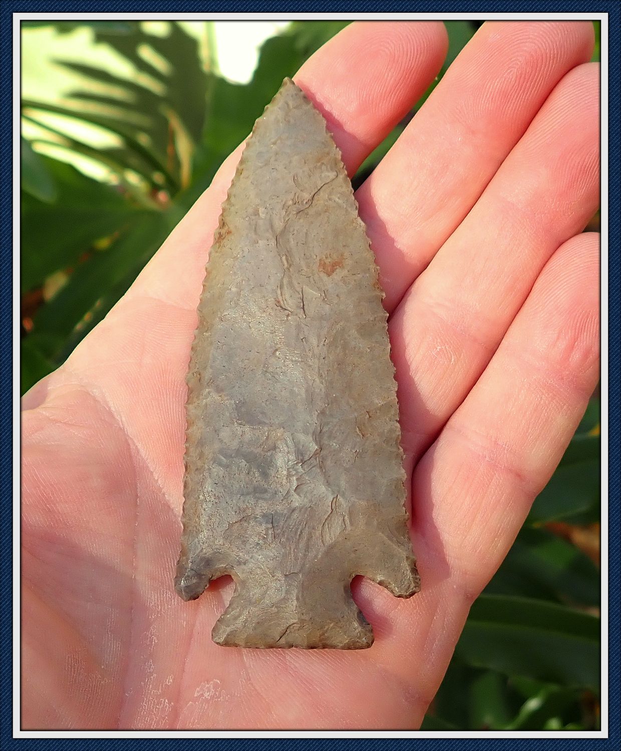 ~ Exceptional ~ 4&quot; Lost Lake Point ~ Hardin Co. Tennessee ~