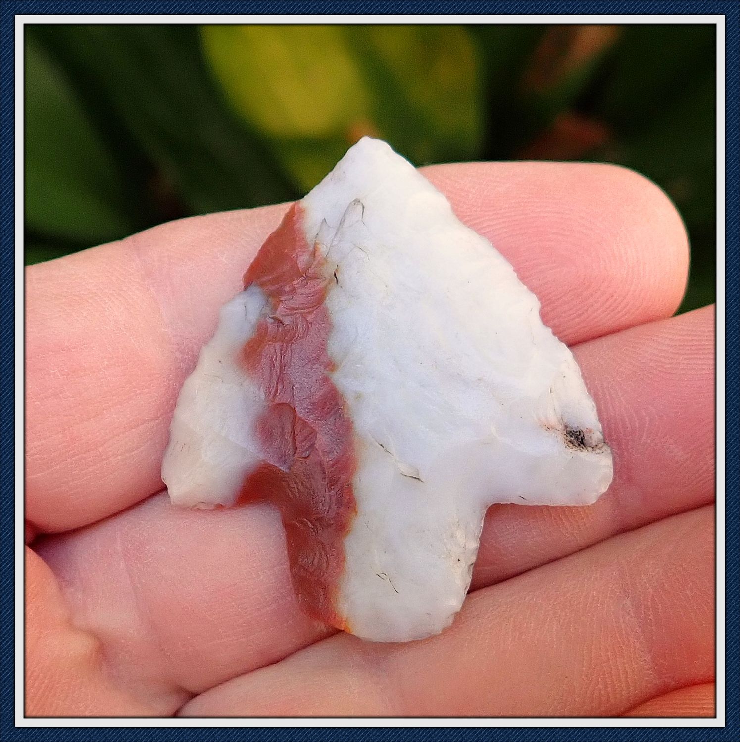 ~ Red &amp; White ~ Translucent Coral Newnan Dart  ~