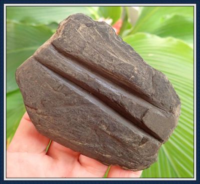 ~ Sharpening / Wet Stone ~ Tennessee River Valley ~ North Alabama ~