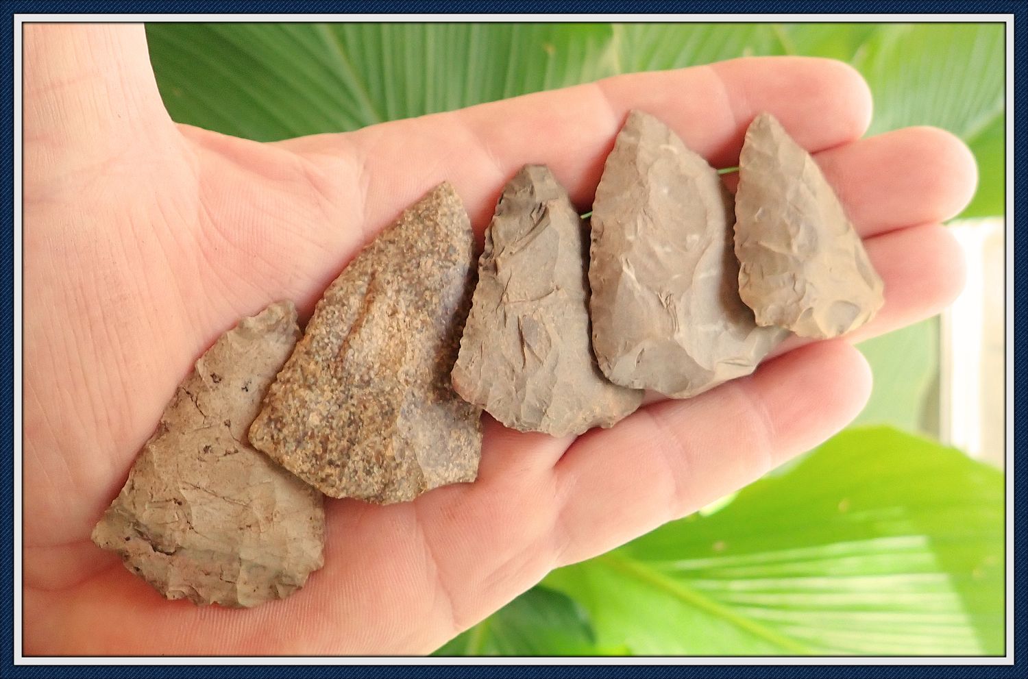 ~ Morrow Mountain ~ 5 Point Cache ~